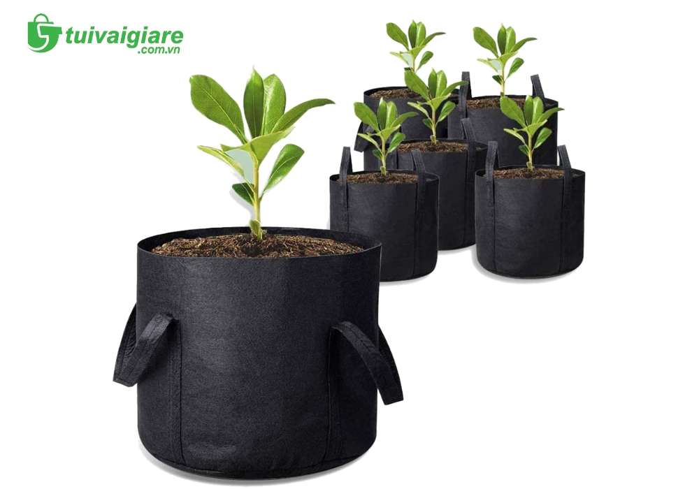 Vải không dệt ứng dụng trồng cây[
