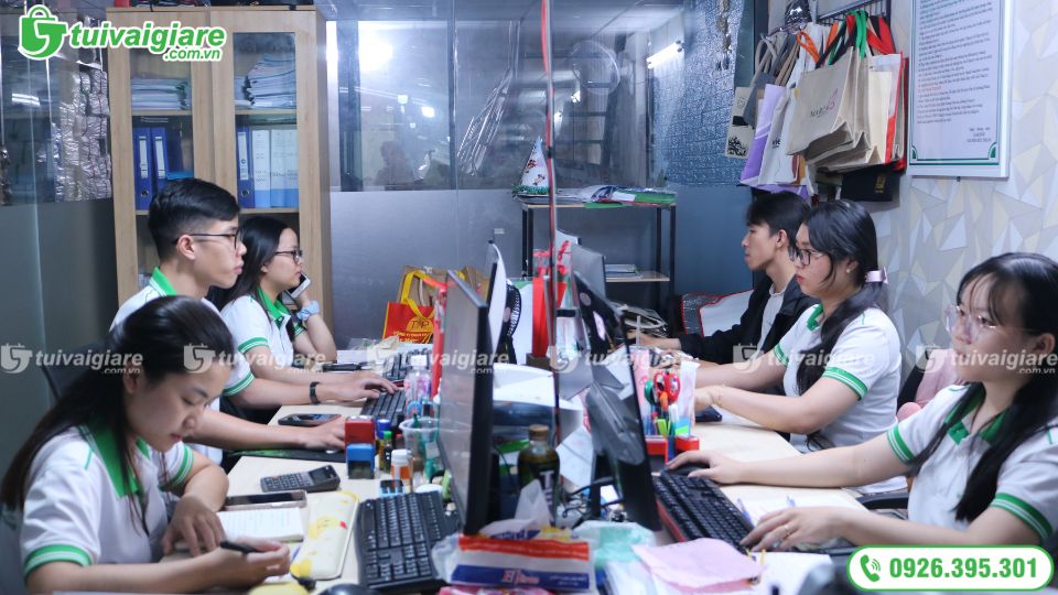 doi-ngu-nhan-vien-chuyen-nghiep-tai-tui-vai-gia-re