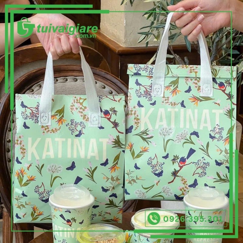 mẫu túi giữ nhiệt Katinat 6