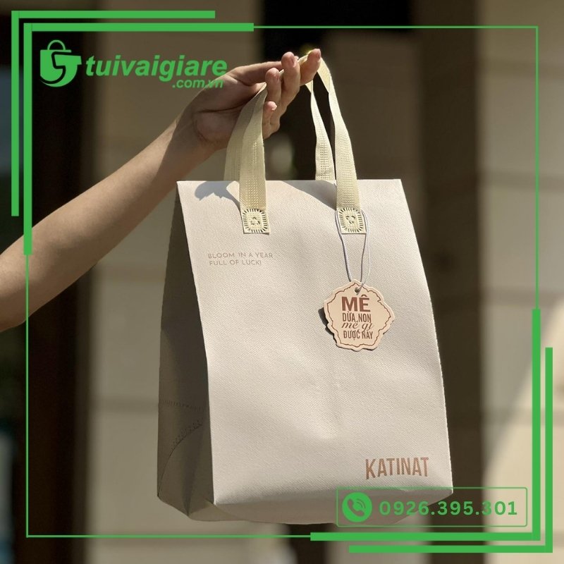 mẫu túi giữ nhiệt Katinat 4