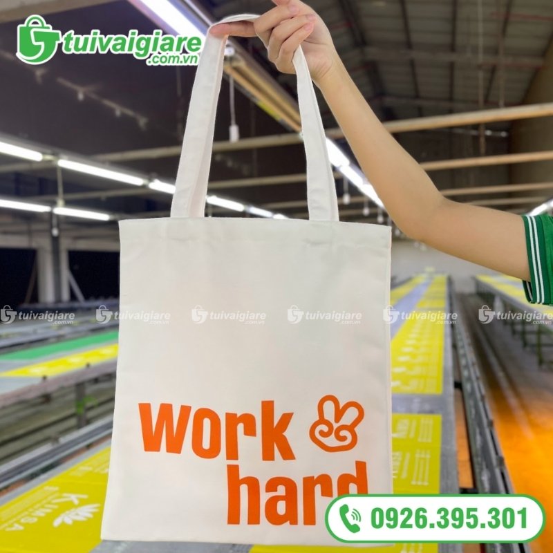 mẫu túi vải đi làm đẹp