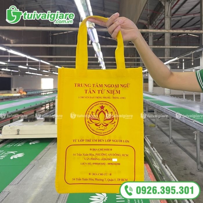 Mẫu túi vải không dệt có quai xách 6