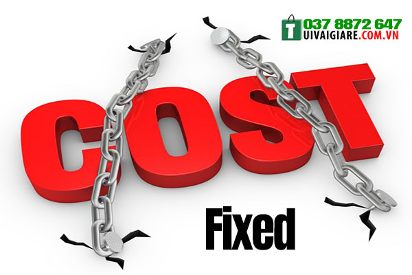 Fixed cost