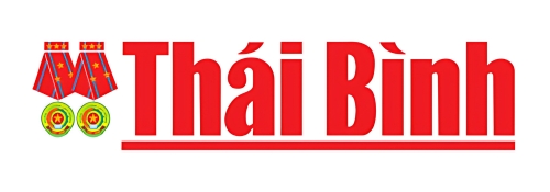 banner-bao-thai-binh